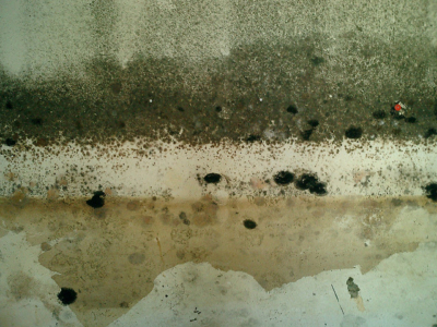 How to find a Water Leak Inside a Wall | Accurate Leak & Line | Dallas, TX