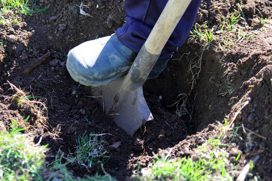 dallas sewer repair excavation