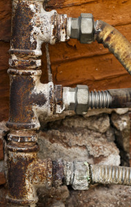moldy water pipes